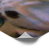 kerstfeest poster (Hoek)