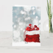 Kerstfeest Sinterklaas Feestdagen Kaart (Achterkant)
