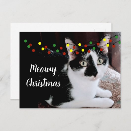 kerstfeestdag briefkaart (Voorkant / Achterkant)