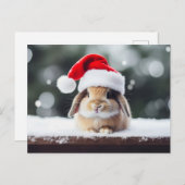 Kerstfeestdag Bunny Briefkaart (Voorkant / Achterkant)