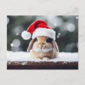 Kerstfeestdag Bunny Briefkaart (Voorkant)