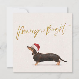 Kerstfeestdag Dachshund Dog Merry Greeting