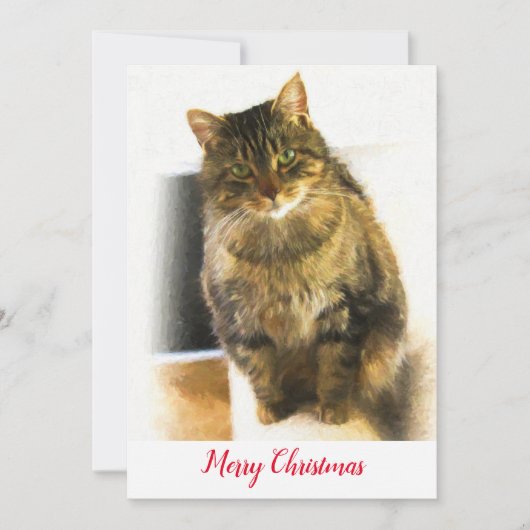 kerstfeestdag feestdagenkaart (Voorkant)