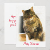 kerstfeestdag feestdagenkaart (Voorkant / Achterkant)