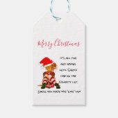 Kerstfeestdag Funny Quote Elf Cadeaulabel (Voorkant)
