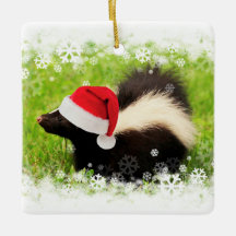 Kerstfeestdag in Cute Skunk