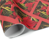 Kerstfeestdag in Poinsettia Cadeaupapier (Rol Hoek)