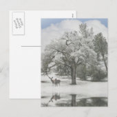 Kerstfeestdag Kaarten met deer in de sneeuw Feestdagenkaart (Voorkant / Achterkant)