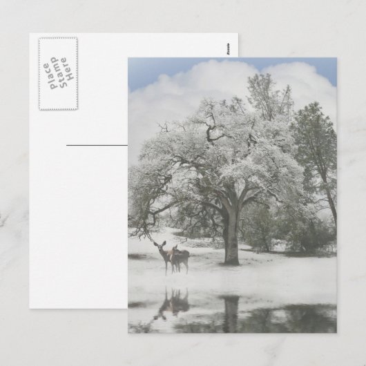 Kerstfeestdag Kaarten met deer in de sneeuw Feestdagenkaart (Voorkant / Achterkant)