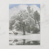 Kerstfeestdag Kaarten met deer in de sneeuw Feestdagenkaart (Voorkant)