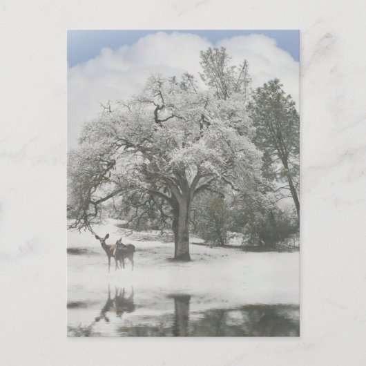 Kerstfeestdag Kaarten met deer in de sneeuw Feestdagenkaart (Voorkant)