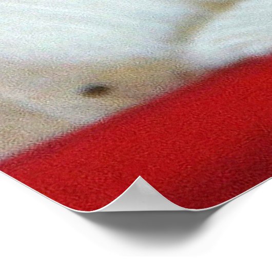 kerstfeestdag kerstfeest poster (Hoek)