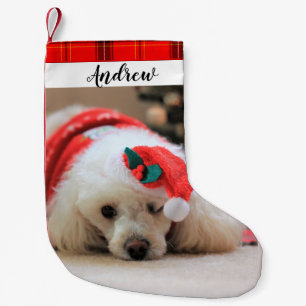 Kerstfeestdag met blauwachtige hond Stocking Kleine Kerstsok