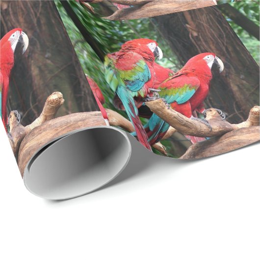 kerstfeestdag met kleurrijke papegaaien cadeaupapier (Rol Hoek)