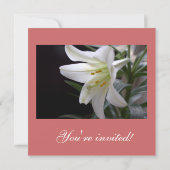  kerstfeestdag met zuivere witte bloem kaart (Achterkant)