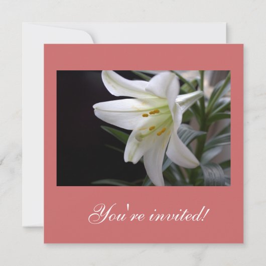  kerstfeestdag met zuivere witte bloem kaart (Achterkant)