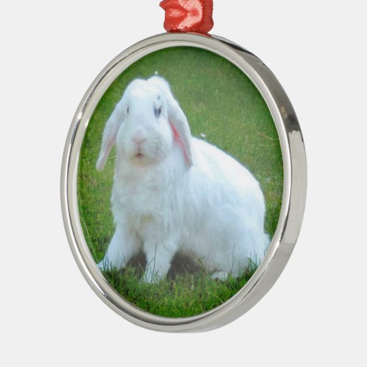 kerstfeestdag metalen ornament (Links)