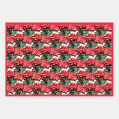 kerstfeestdag rode poinsettia — ventilatordruk inpakpapier vel (Voorkant)