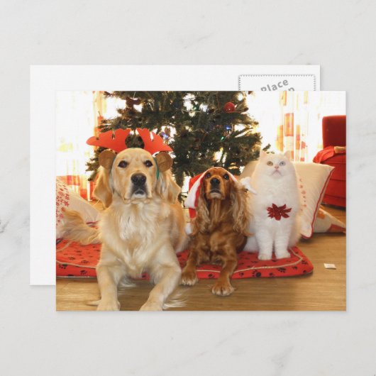 kerstfeestdagen Briefkaart (Voorkant / Achterkant)