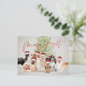 Kerstfeestdagen Hondenliefhebbers Merry Bright San Briefkaart (Staand voorkant)
