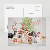 Kerstfeestdagen Hondenliefhebbers Merry Bright San Briefkaart (Voorkant / Achterkant)