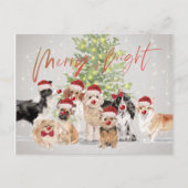 Kerstfeestdagen Hondenliefhebbers Merry Bright San Briefkaart (Voorkant)