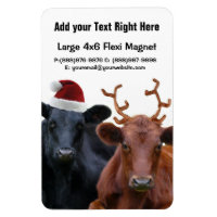 Kerstfeestdagen Koeien in Santa Hat en Antlers