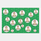 Kerstfeestdagen Koekjes Poinsettia Cat Inpakpapier Vel (Voorkant 3)