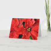 Kerstfeestkaart van Red Poinsettias Feestdagen Kaart (Voorkant)