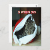 kerstfeestkeuken briefkaart (Voorkant / Achterkant)