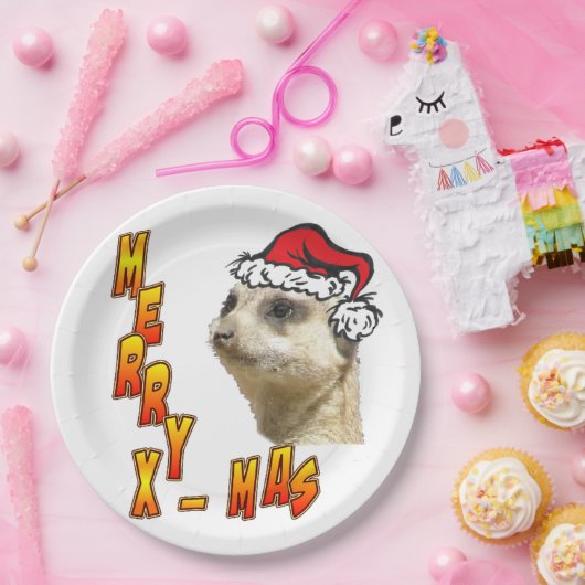 kerstfeestmaal Bord voor kerstfeestrondpapier (Feest)