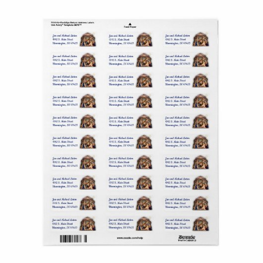 kerstfeestster — Geef het retouradres aan Etiket (Full Sheet)