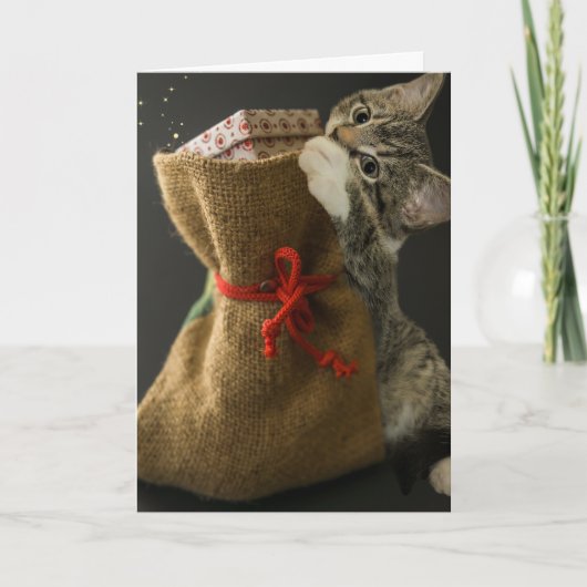 KERSTFELI KATTEN VERASSINGEN Wenskaart Kaart (Voorkant)