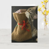 KERSTFELI KATTEN VERASSINGEN Wenskaart Kaart (Gele Bloem)