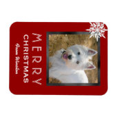 Kerstfoto 3x4-groet van de hond/het huisje magneet (Horizontaal)