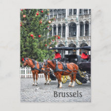 Kerstfoto Brussel België