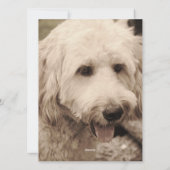 Kerstfoto Feestdagen Feestdagenkaart (Achterkant)