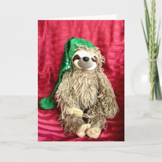 Kerstfoto Luiaard Kaart (Voorkant)