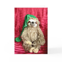 Kerstfoto Luiaard