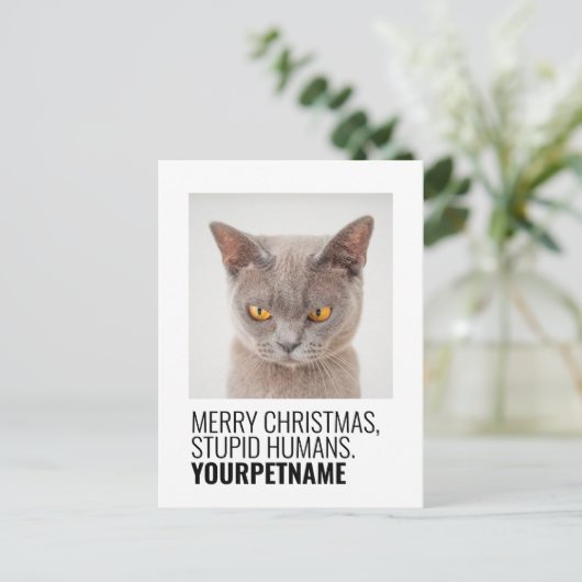 kerstfoto Simple Funny Pet Name Briefkaart (Staand voorkant)
