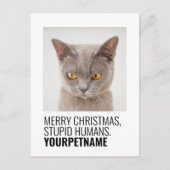 kerstfoto Simple Funny Pet Name Briefkaart (Voorkant)