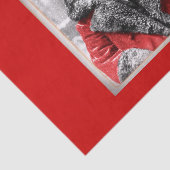  kerstfoto tissuepapier (Detail)