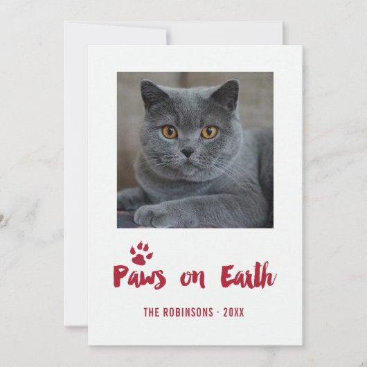 Kerstfoto Trendy Pet Feestdagenkaart (Voorkant)