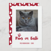 Kerstfoto Trendy Pet Feestdagenkaart (Voorkant / Achterkant)