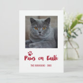 Kerstfoto Trendy Pet Feestdagenkaart (Staand voorkant)