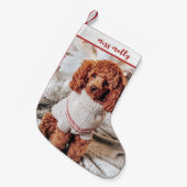 kerstfoto van Cute Animal Pet Kleine Kerstsok (Voorkant (Hangend))