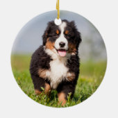 kerstfoto van Cute Puppy Dog Brown Fluffy Keramisch Ornament (Achterkant)