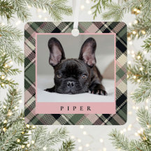 Kerstfoto van huisdier in preppy ruit