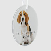 Kerstfoto van huisdierhond of kat als herinnering ornament (voorkant)