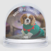 Kerstfoto van Winterhond Sneeuwbol (Voorkant)